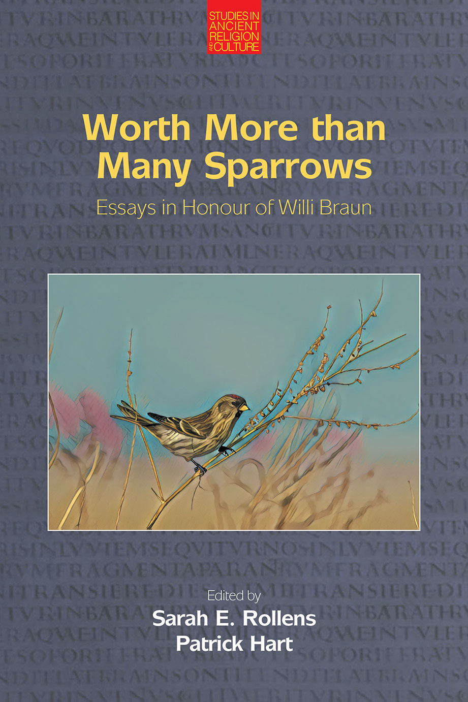 Worth More than Many Sparrows - Essays in Honour of Willi Braun - Sarah E. Rollens